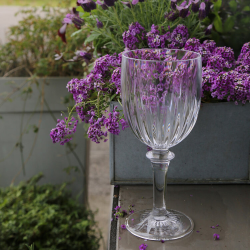 ΠΟΤΗΡΙ PRECIOUS ΜΕΘΑΚΡΥΛΙΚΟ