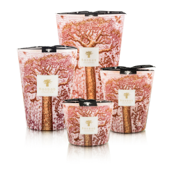 BAOBAB SACRED TREES WOROBA