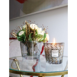 MY FIRST BAOBAB BRUSSELS