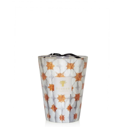 BAOBAB CALYPSO ODYSSEE