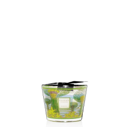 BAOBAB CITIES SINGAPORE