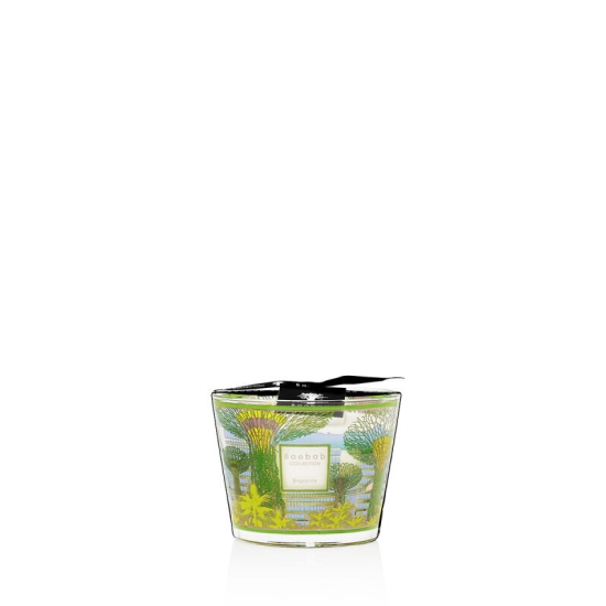 BAOBAB CITIES SINGAPORE