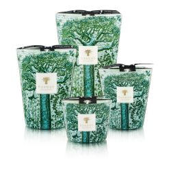 BAOBAB SACRED TREES KAMALO