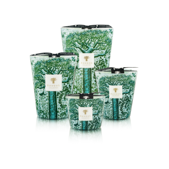 BAOBAB SACRED TREES KAMALO