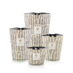 BAOBAB ANCIENT MARK APYLAND