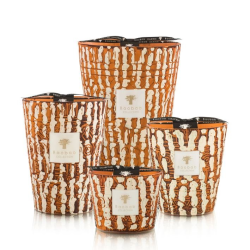 BAOBAB ANCIENT MARK PAPUNYA