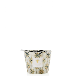 BAOBAB ODYSSEE ITHAQUE