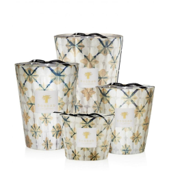 BAOBAB ODYSSEE ITHAQUE