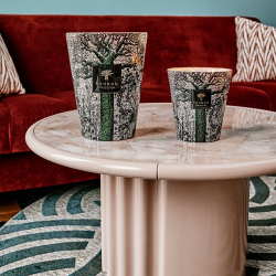 BAOBAB SACRED TREES KANI