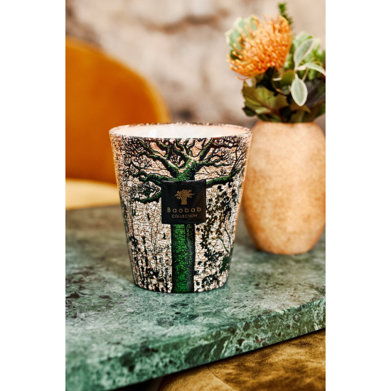 BAOBAB SACRED TREES KANI