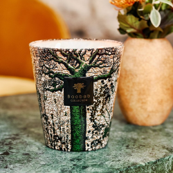 BAOBAB SACRED TREES KANI