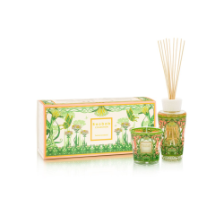 ΚΟΥΤΙ ΔΩΡΟΥ MY FIRST BAOBAB TOMORROWLAND 2024