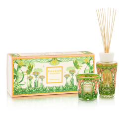 ΚΟΥΤΙ ΔΩΡΟΥ MY FIRST BAOBAB TOMORROWLAND 2024