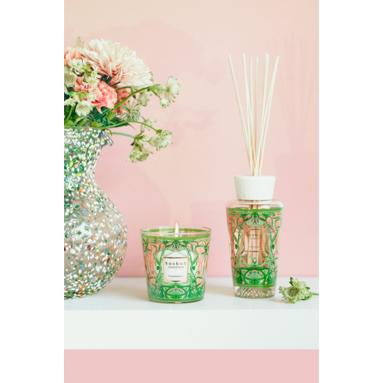 ΚΟΥΤΙ ΔΩΡΟΥ MY FIRST BAOBAB TOMORROWLAND 2024