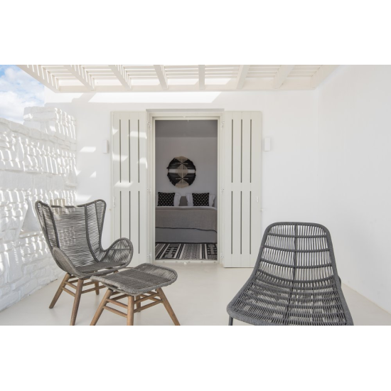 ΔΙΑΚΟΣΜΗΤΙΚΟ ΤΟΙΧΟΥ ΣΧΟΙΝΙ & ΡΑΤΑΝ