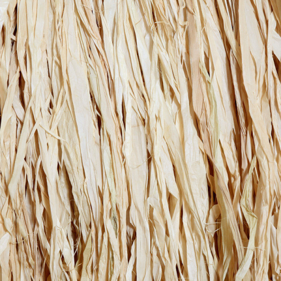 ΤΟ USED TO BE WILD ΦΥΣΙΚΟ